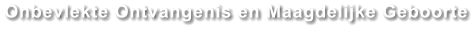 Onbevlekte Ontvangenis en Maagdelijke Geboorte